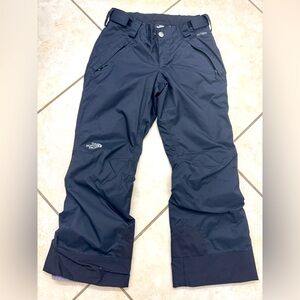 The Northface Insulated Pants